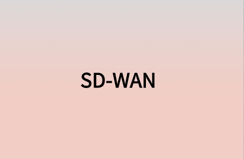對企業而言，SD-WAN意味著什么?