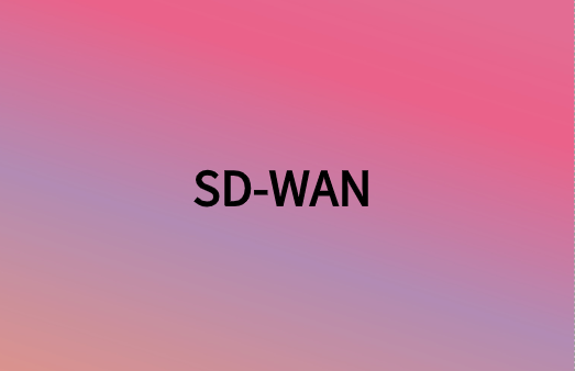 除連接性外，SD-WAN還提供很多網絡優勢